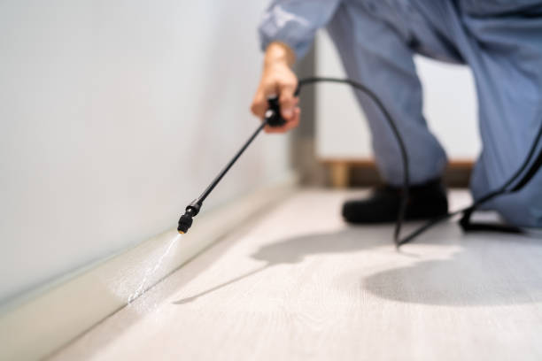 Certified termite inspector examining foundation in Gibbsboro