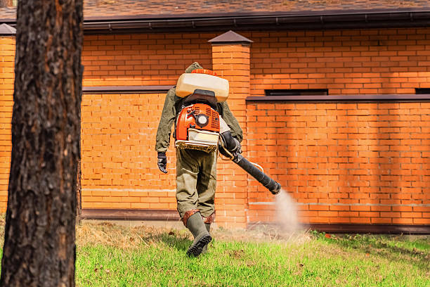 Top rated local Mosquito Control specialists in Gibbsboro, NJ